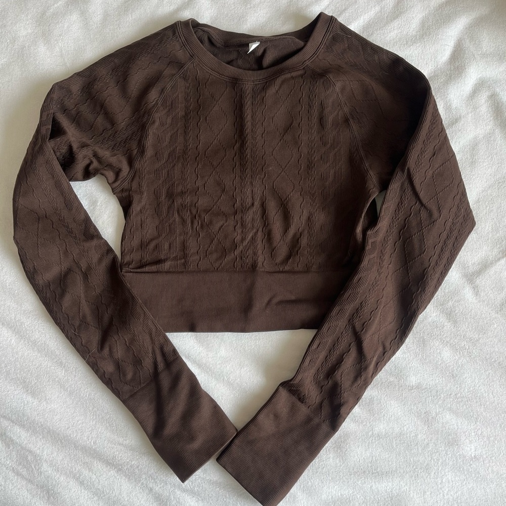 Cropped Seamless Long Sleeve Workout Top